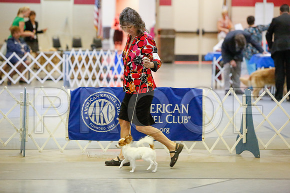 _JJ_1718-AmarilloSept2014-HR3