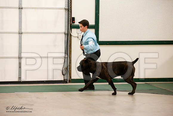_JN_0687-NrmnNov2014-HR3