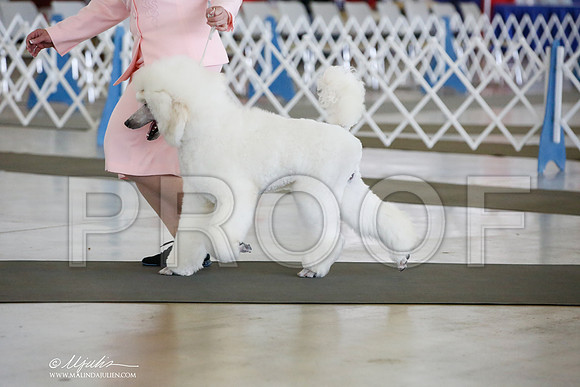 _JJ_5269-DallasJul2014-HR3