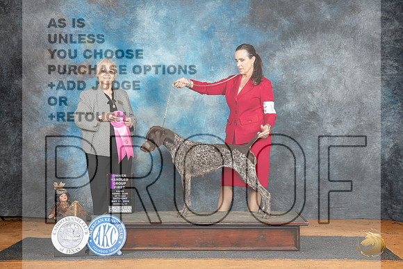 German Shorthaired Pointer #10 Sat OHG1 Judge Suzanne Dillin__JP_8105_MARSHALL_2024_HR3