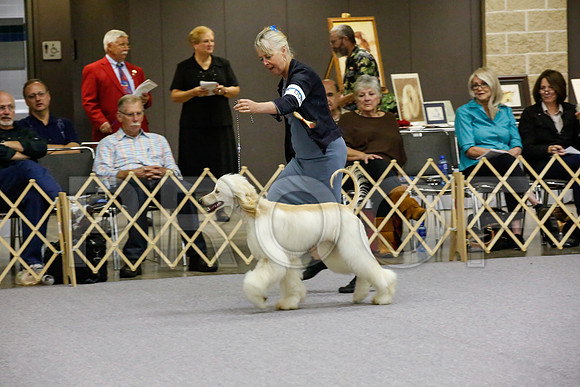 _JJ_9397-AfgBeltonOct2014-HR3