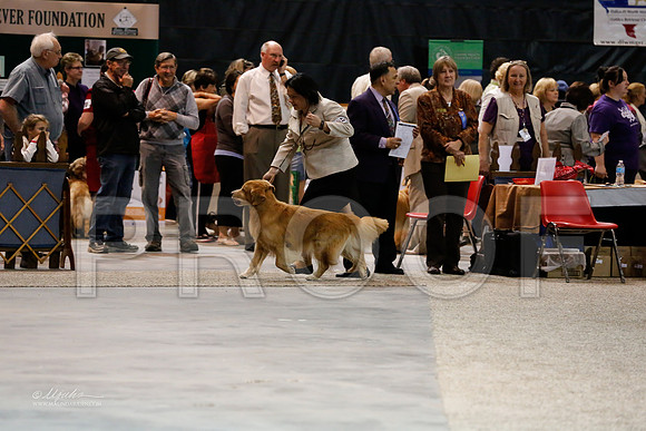 Vet8-10-0013-WFOct2013-HR