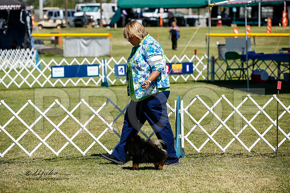 _JJ_3629-AlamogordoOct2014-HR3