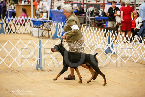 _JN_5499-TxArJun2014-HR3