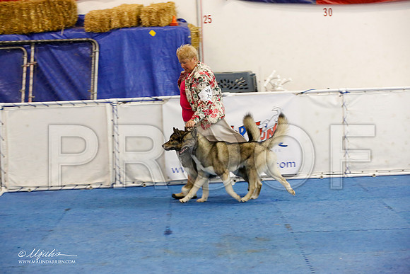 _M3_1649-AddisonHuskyMar2015-HR3