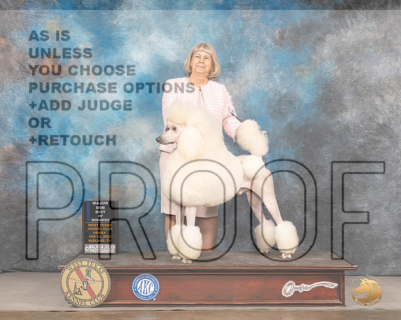 Poodle Std #19 Fri BOW Judge Brad JenkinsMMJ_3122_Mdlnd2022_HR3