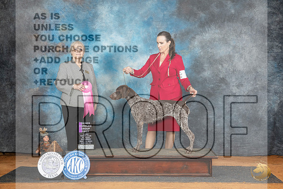 German Shorthaired Pointer #10 Sat OHG1 Judge Suzanne Dillin__JP_8095_MARSHALL_2024_HR3