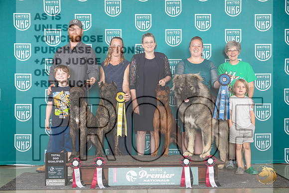 Cane Corso Thai Ridgeback Ovcharka Group TD Sat__JP_2759_Premier_2024_HR3
