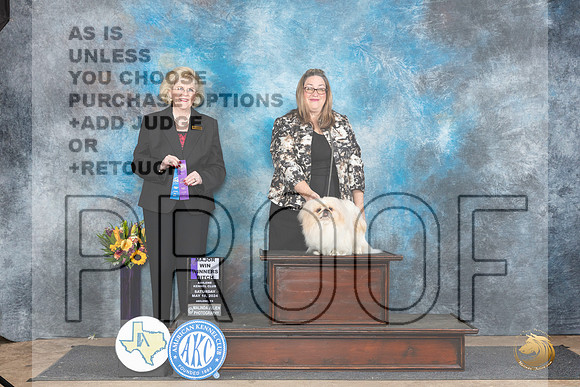 Pekingese #8 WBM Judge Vicki Abbott__JP_0025_Abilene_2024_HR3