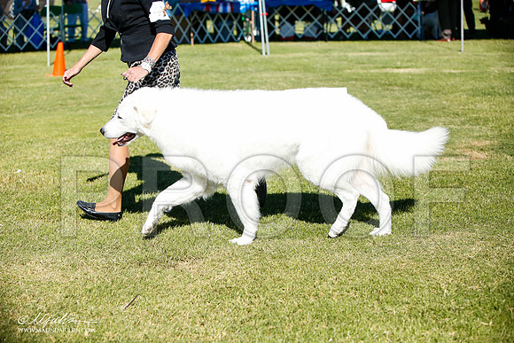 _JJ_6219-AlamogordoOct2014-HR3