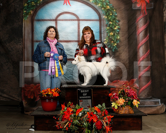 _ST_7123-2-NrmnNov2014-HR3