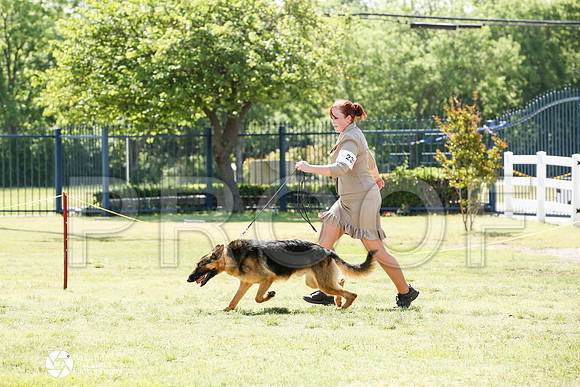 _J1_7032-BgSprngMay14-HR3