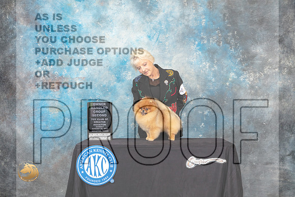 Pomeranian #41 Sun OHG2 Judge Bradley Jenkins_MJ_0543_HstnTOY_2022_HR3