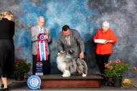 Shetland Sheepdog #5 Sun BIS Judge Paul Willhauck