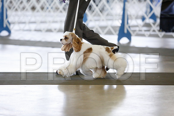_RH_0332-DallasJul2014-HR3