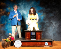 Bichon Frise #5 Sat BOW Maj Judge FILIBERTO ARNIELLA