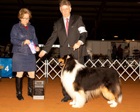 Collie Rough #7 Sat NCh Judge LORRAINE W BISSO