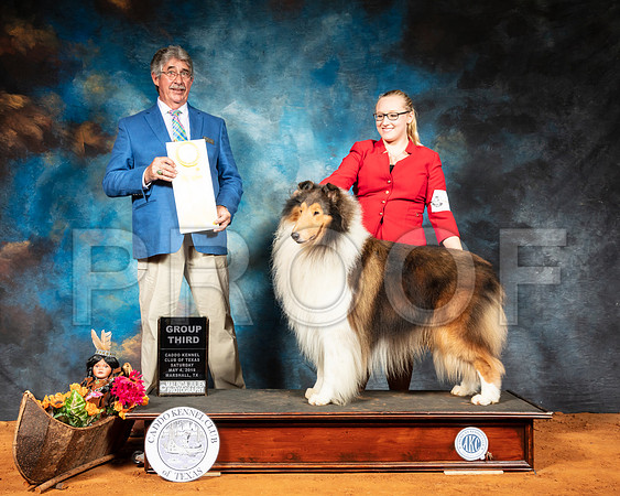 Collie Rough #9 Sat G3 Judge FILIBERTO ARNIELLA-SSR_6940-Mrshl2019-HR3