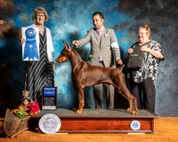 Doberman Pinscher #15 Sat G1 Judge Nancy Simmons