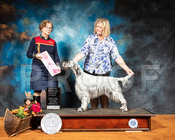 English Terrier #6 Sat G1 Judge Lorraine Bisso-SSR_6902-Mrshl2019-HR3
