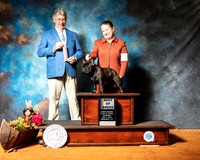 French Bulldog #15 Sat BOB  Judge FILIBERTO ARNIELLA