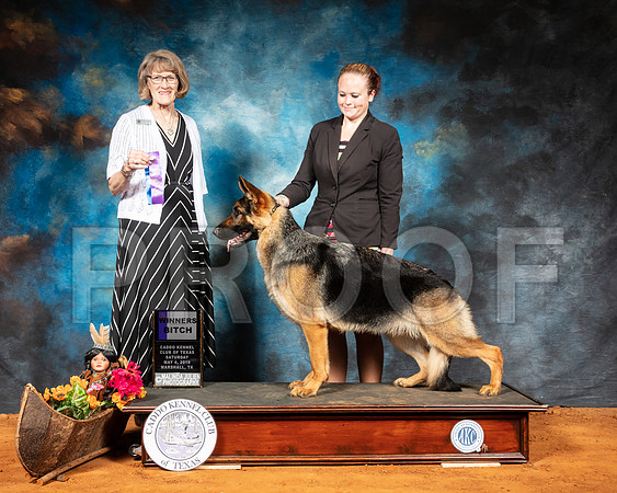 German Shepherd Dog #14 Sat WB Judge Nancy Simmons-SSR_6961-Mrshl2019-HR3