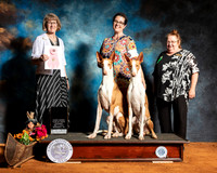 Ibizan Sat Best Brace Judge Nancy Simmons