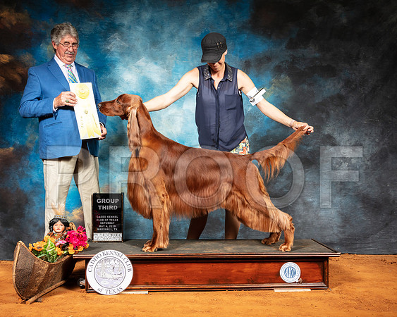 Irish Setter #5 Sat G3 Judge FILIBERTO ARNIELLA-SSR_7000-Mrshl2019-HR3