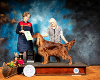 Irish Setter #6 Sat G2 Judge Lorraine Bisso