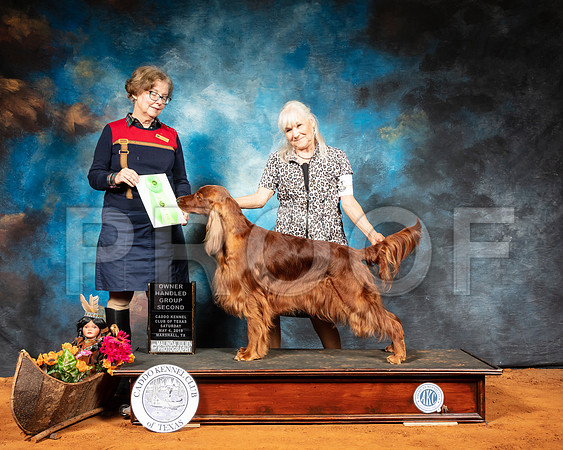 Irish Setter #6 Sat G2 Judge Lorraine Bisso-SSR_6905-Mrshl2019-HR3