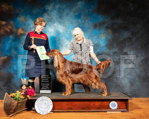 Irish Setter #6 Sat G2 Judge Lorraine Bisso-SSR_6906-Mrshl2019-HR3