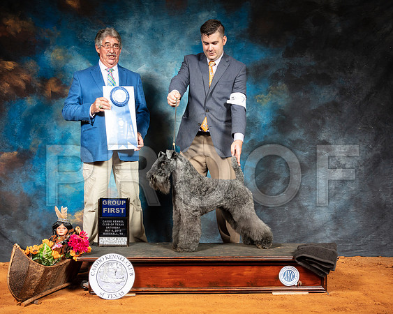 Kerry Blue Terrier #7 Sat G1 Judge FILIBERTO ARNIELLA-SSR_6886-Mrshl2019-HR3