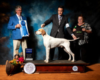 Pointer #7 Sat G1 Judge FILIBERTO ARNIELLA
