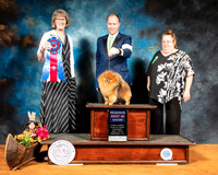 Pomeranian #25 BIS Sat Judge Nancy Simmons