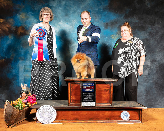 Pomeranian #25 BIS Sat Judge Nancy Simmons-SSR_7037-Mrshl2019-HR3