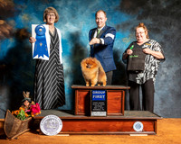 Pomeranian #25 G1 Sat Judge Nancy Simmons