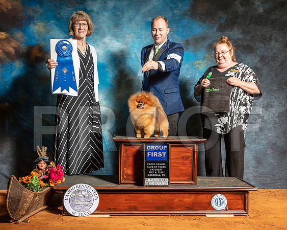 Pomeranian #25 G1 Sat Judge Nancy Simmons-SSR_7031-Mrshl2019-HR3