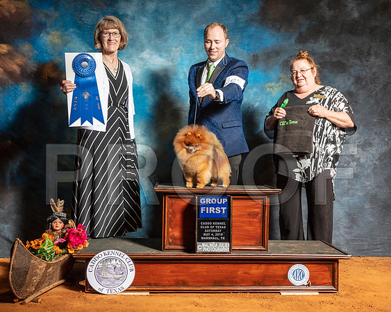 Pomeranian #25 G1 Sat Judge Nancy Simmons-SSR_7032-Mrshl2019-HR3