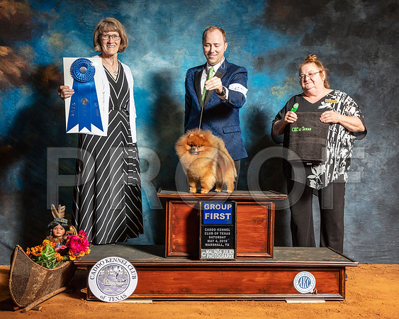 Pomeranian #25 G1 Sat Judge Nancy Simmons-SSR_7033-Mrshl2019-HR3