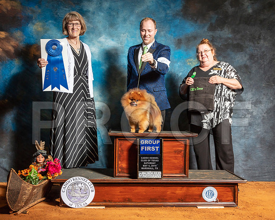 Pomeranian #25 G1 Sat Judge Nancy Simmons-SSR_7034-Mrshl2019-HR3