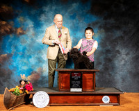 Poodle Toy #8 Sat BOS Judge Dr Gareth Morgan Jones