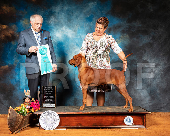 Redbone Coonhound #6 Sat OHBIS Judge Richard Albee-SSR_6974-Mrshl2019-HR3