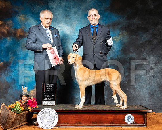 Saluki #9 Sat 4to6 G1 Judge Richard Albee-SSR_6822-Mrshl2019-HR3