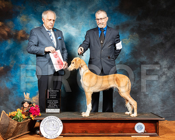 Saluki #9 Sat 4to6 G1 Judge Richard Albee-SSR_6824-Mrshl2019-HR3