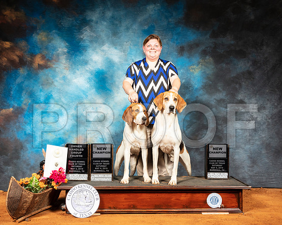 Treeing Walker Coonhound Sat NCh-SSR_6950-Mrshl2019-HR3