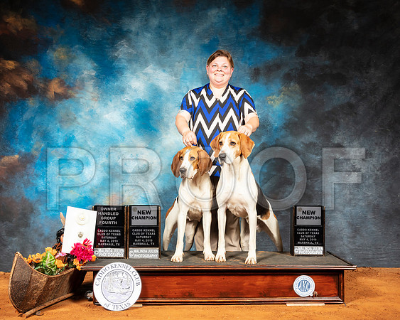 Treeing Walker Coonhound Sat NCh-SSR_6951-Mrshl2019-HR3