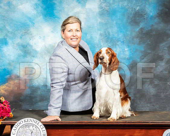Welsh Springer Spaniel Sat-SSR_6953-Mrshl2019-HR3