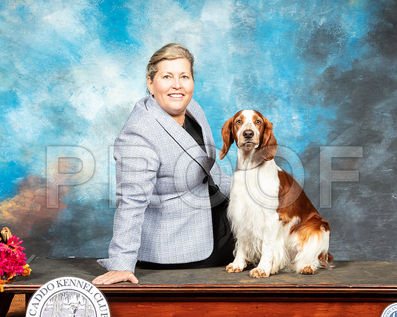 Welsh Springer Spaniel Sat-SSR_6954-Mrshl2019-HR3