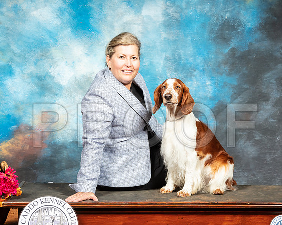 Welsh Springer Spaniel Sat-SSR_6955-Mrshl2019-HR3