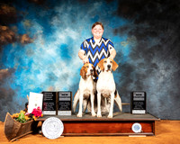 Treeing Walker Coonhound Sat NCh